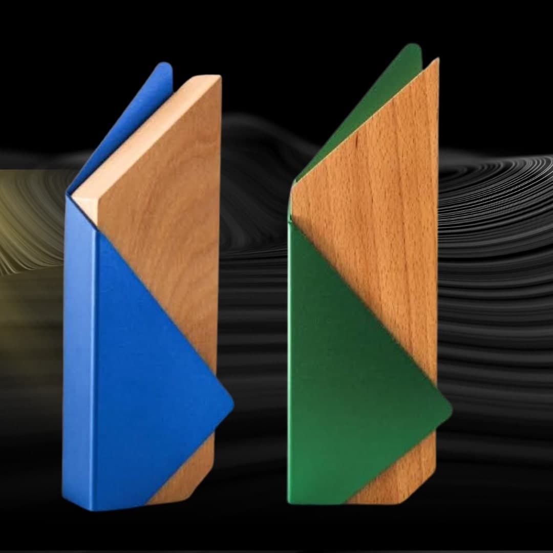 โล่รางวัลไม้: โล่รางวัลไม้ RS199